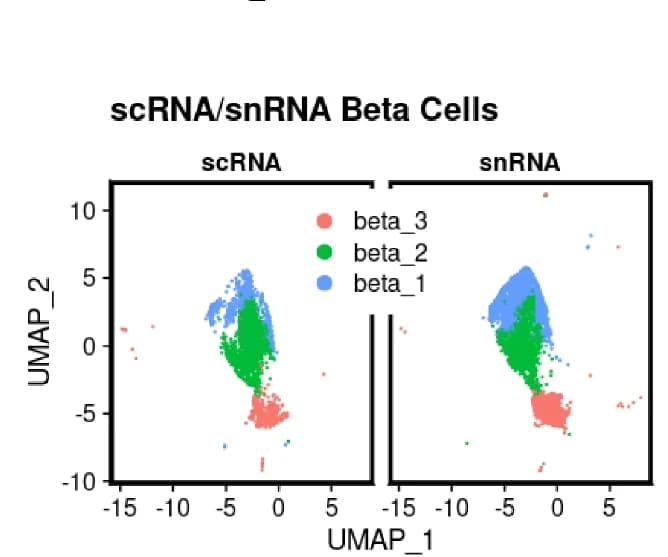 Open access visualization of Scatter Plot, UMAP, Beta-Cell Sub-clusters, scRNA-seq, snRNA-seq