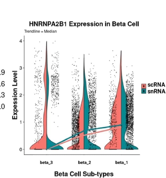Open access visualization of Violin Plot, Line Plot, HNRNPA2B1 Expression, Beta-Cell Subtypes, Violin Plots
