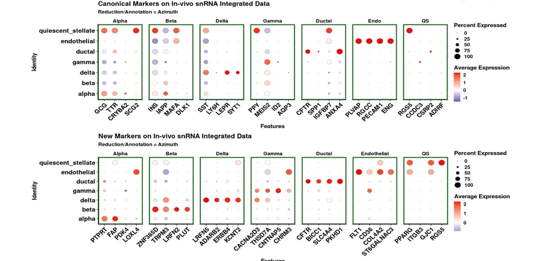Open access visualization of Bubble Plot, Dotplot, Gene Expression, Canonical Gene Markers, Endocrine Cells