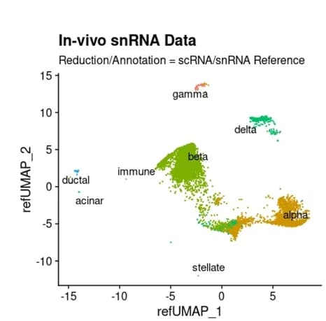Open access visualization of Scatter Plot, UMAP, In Vivo, snRNA-seq Data, scRNA-seq
