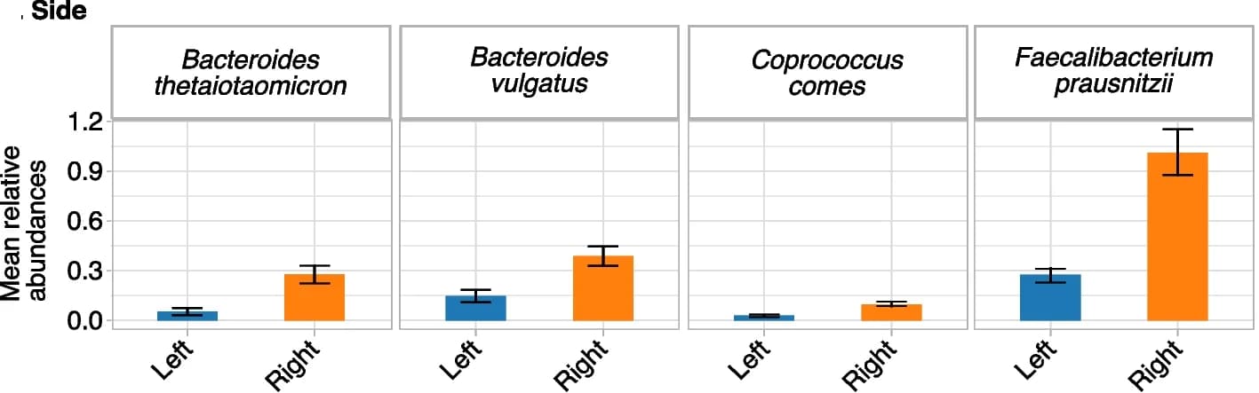 Open access visualization of Bar Plot, Error Bars, Bacterial Relative Abundance, Bacterial Species, Colon Adenocarcinomas