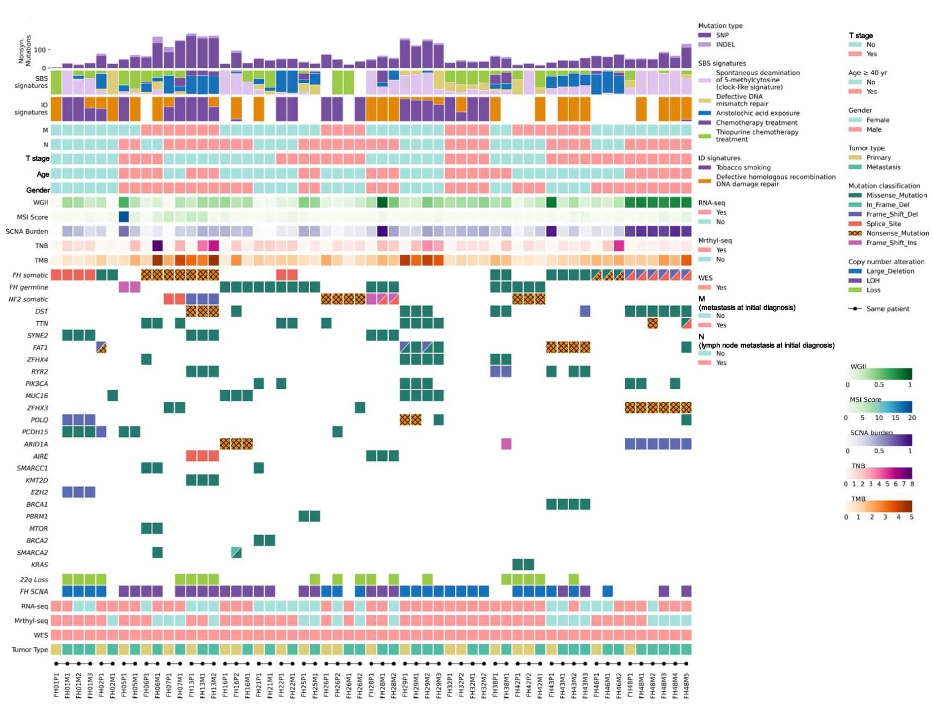 Open access visualization of Heatmap, Bar Plot, Genomic Data, Clinical Data, Primary Lesions