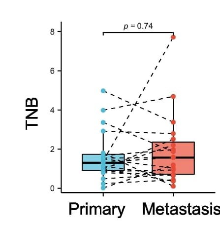 Open access visualization of Box Plot, Scatter Plot, TMB, TNB, MSI