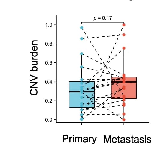 Open access visualization of Box Plot, Scatter Plot, TMB, TNB, MSI