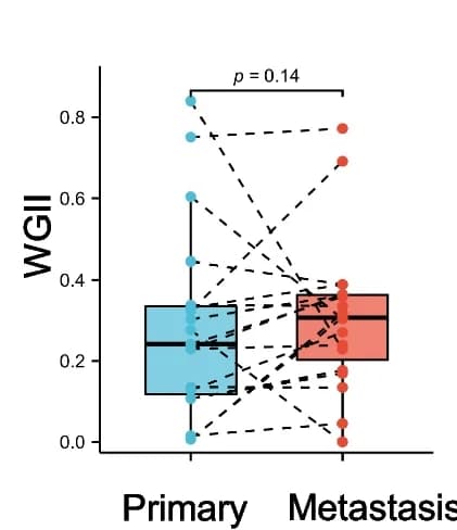 Open access visualization of Box Plot, Scatter Plot, TMB, TNB, MSI