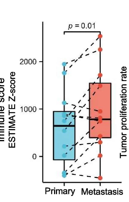 Open access visualization of Box Plot, Scatter Plot, Line Plot, Immune Score, ssGSEA Z-score