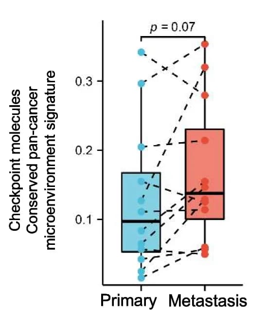 Open access visualization of Box Plot, Scatter Plot, ssGSEA, Checkpoint Molecules, Metastatic FH-RCC