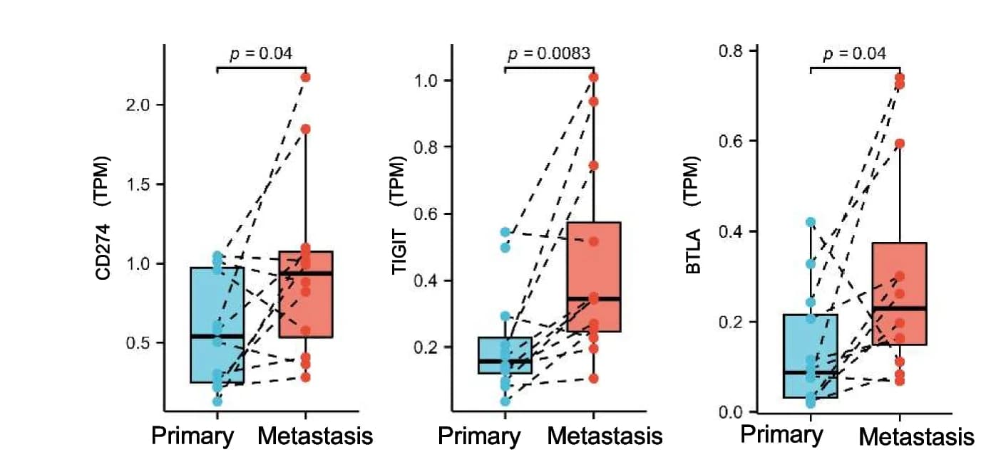 Open access visualization of Box Plot, Scatter Plot, Line Plot, CD274, BTLA