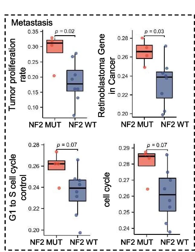 Open access visualization of Box Plot, Scatter Plot, Tumor Proliferation Rate, Retinoblastoma Gene, G1 to S Cell Cycle Control