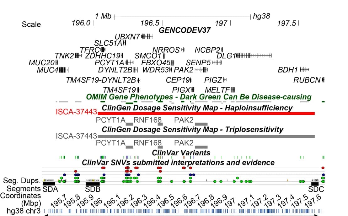 Open access visualization of Manhattan Plot, 3q29 Locus, SDA, SDB, SDC