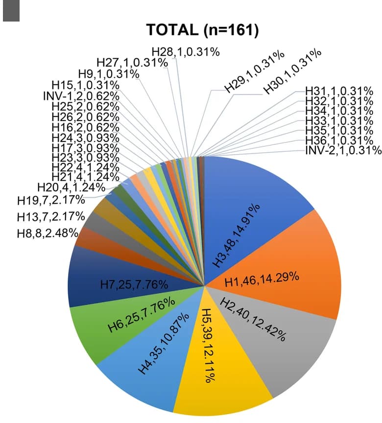 Open access visualization of Pie Chart, 3q29 Haplotypes, Prevalence, Unaffected Individuals
