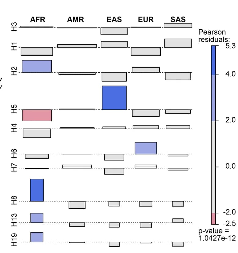 Open access visualization of Bar Plot, Cohen-Friendly Association Plot, Haplotypes, Populations