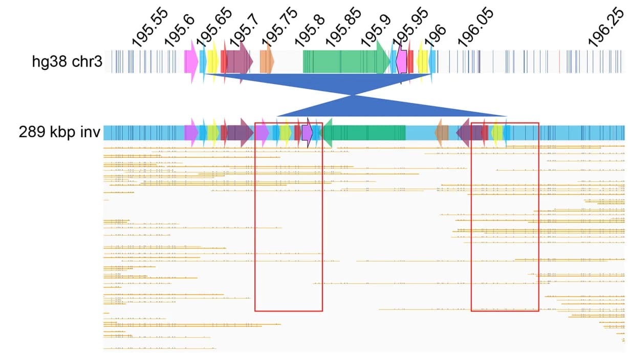 Open access visualization of Locuszoom Plot, Scatter Plot, Line Plot, hg38, Human genome
