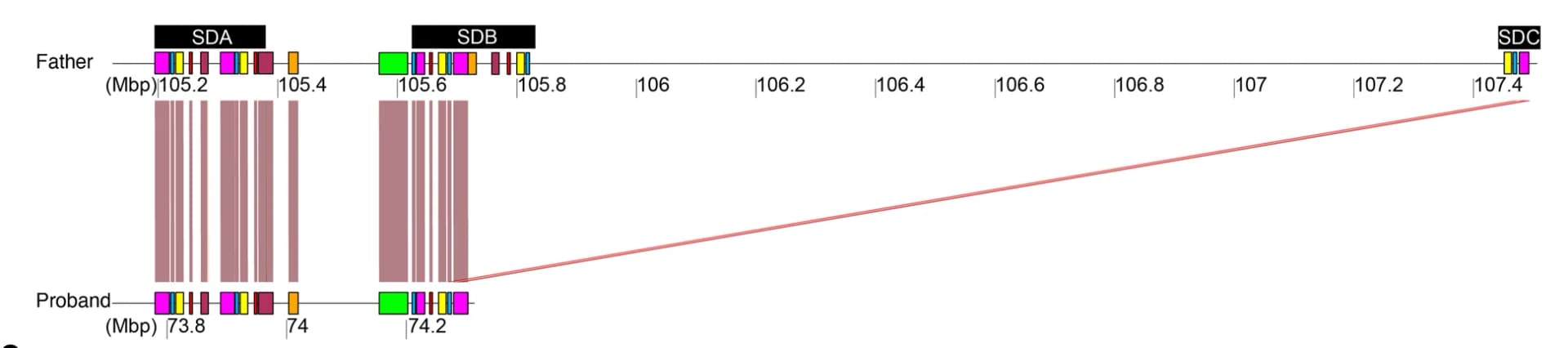 Open access visualization of Line Plot, Bar Plot, Homology Plots, PacBio HiFi sequence data, Deleted Chromosome