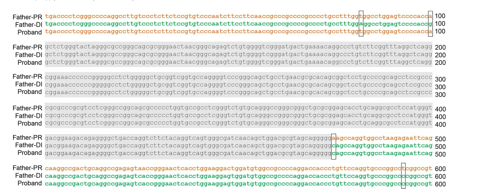 Open access visualization of Gel, Sequence Alignment, Chromosome, Deletion breakpoint sequence, NAHR
