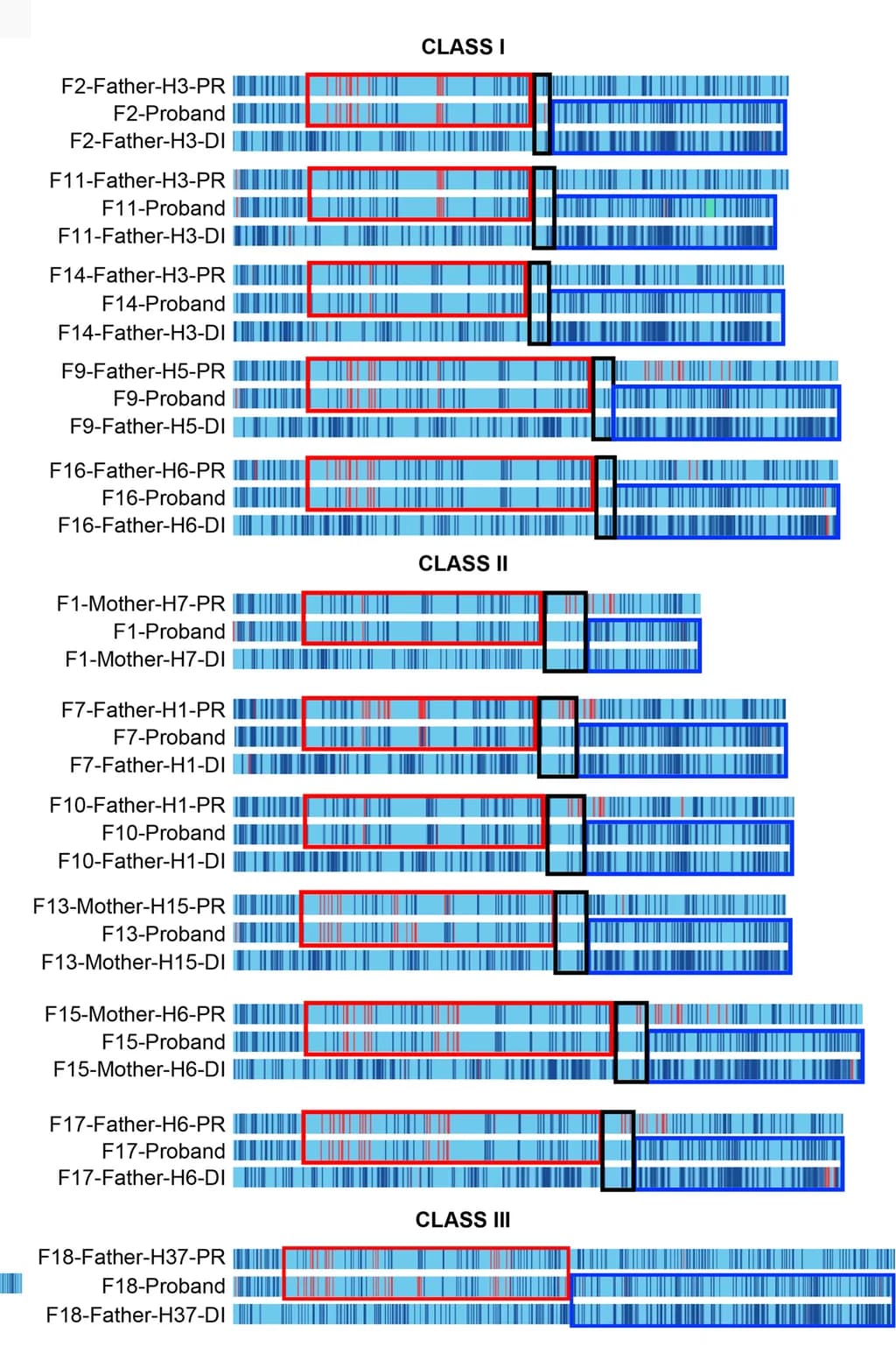 Open access visualization of Other, In Silico Map, Trio, NAHR Region, Deletion Breakpoint
