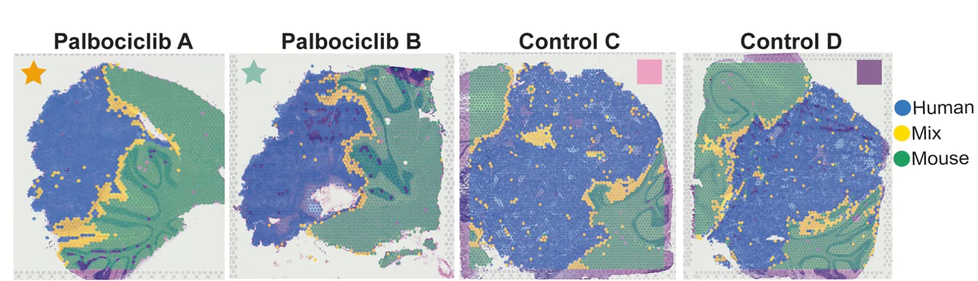 Open access visualization of Microscopy, Spatial Context, Human Spots, Mix Spots, Mouse Spots