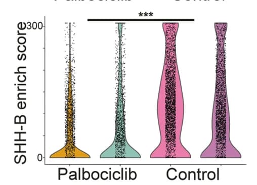 Open access visualization of Violin Plot, Enrichment Scores, SHH-B Progenitor Cell Signature