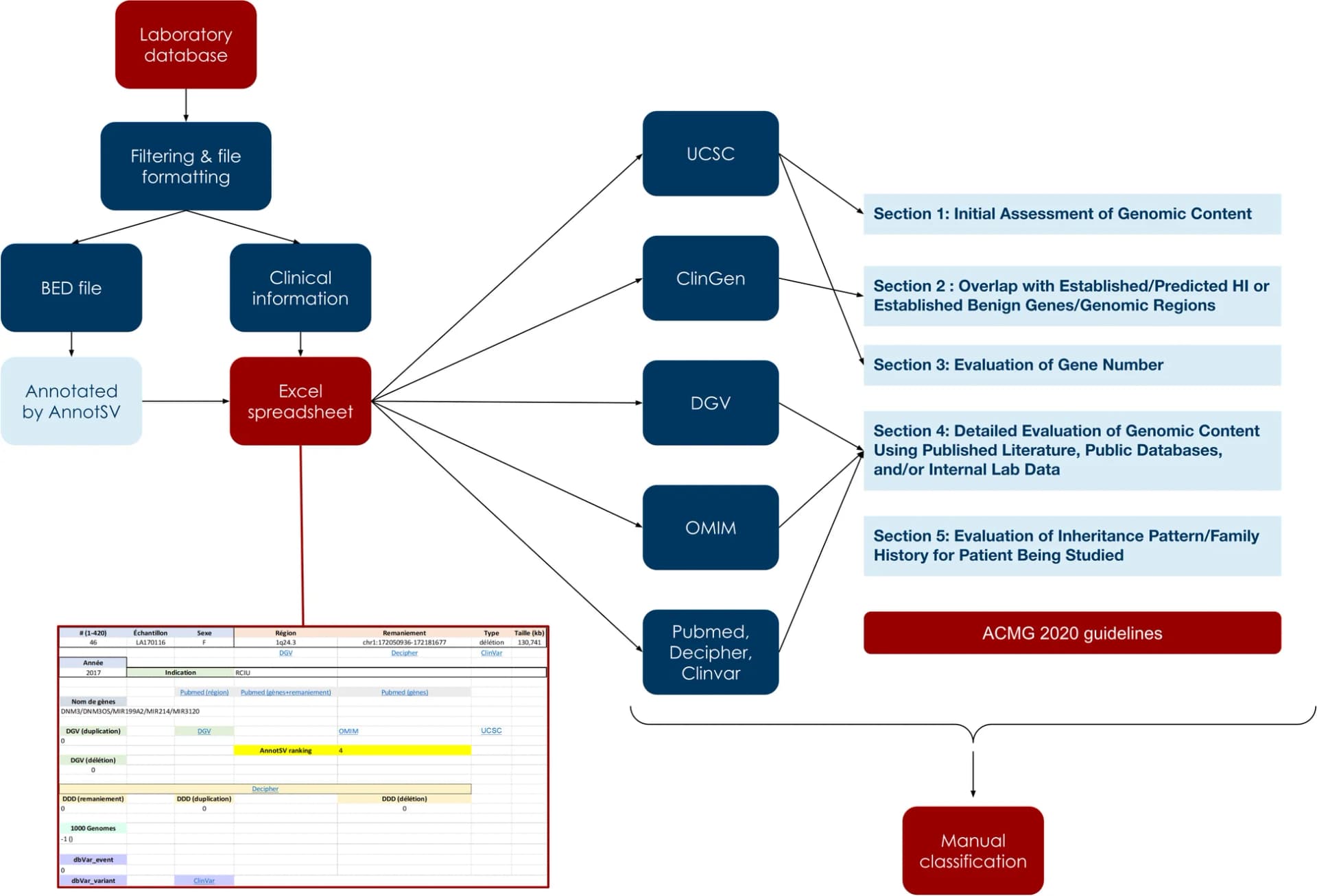 Open access visualization of Workflow, Flowchart, ACMG recommendations, aCGH analysis, CNVs