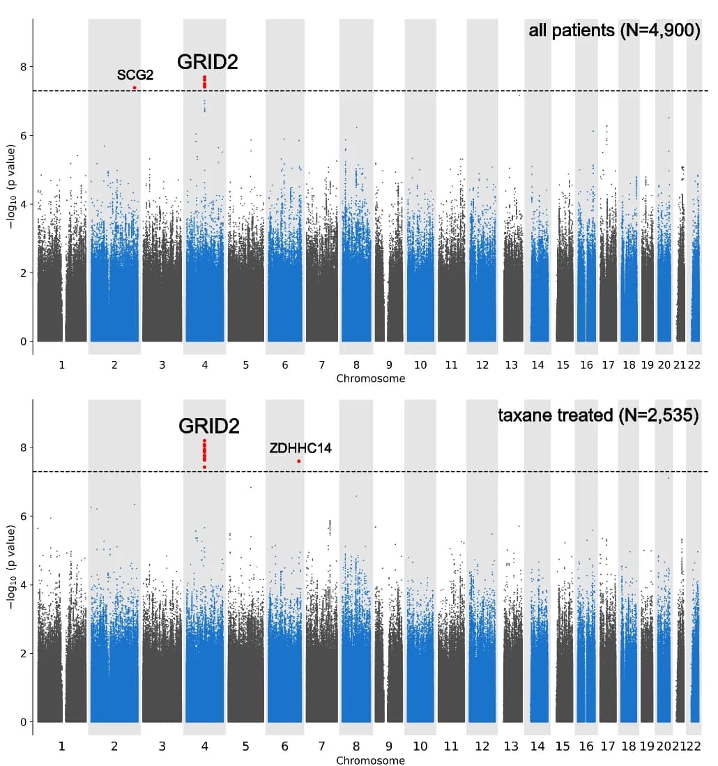 Open access visualization of Manhattan Plot, Genetic Variants, PN Event, Cox Proportional Hazards Model, SNPs