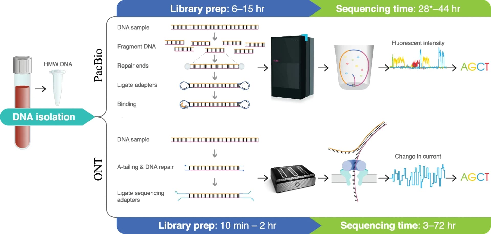 Open access visualization of Workflow, Illustration, Line Plot, PacBio, ONT