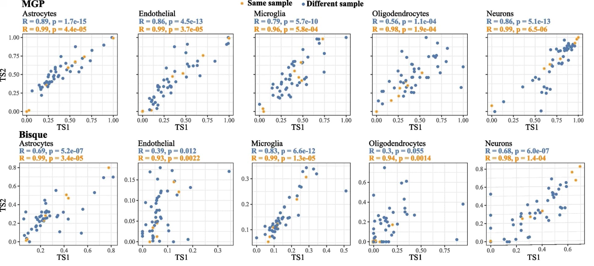 Open access visualization of Scatter Plot, RNAseq1, RNAseq2, MGP, Bisque