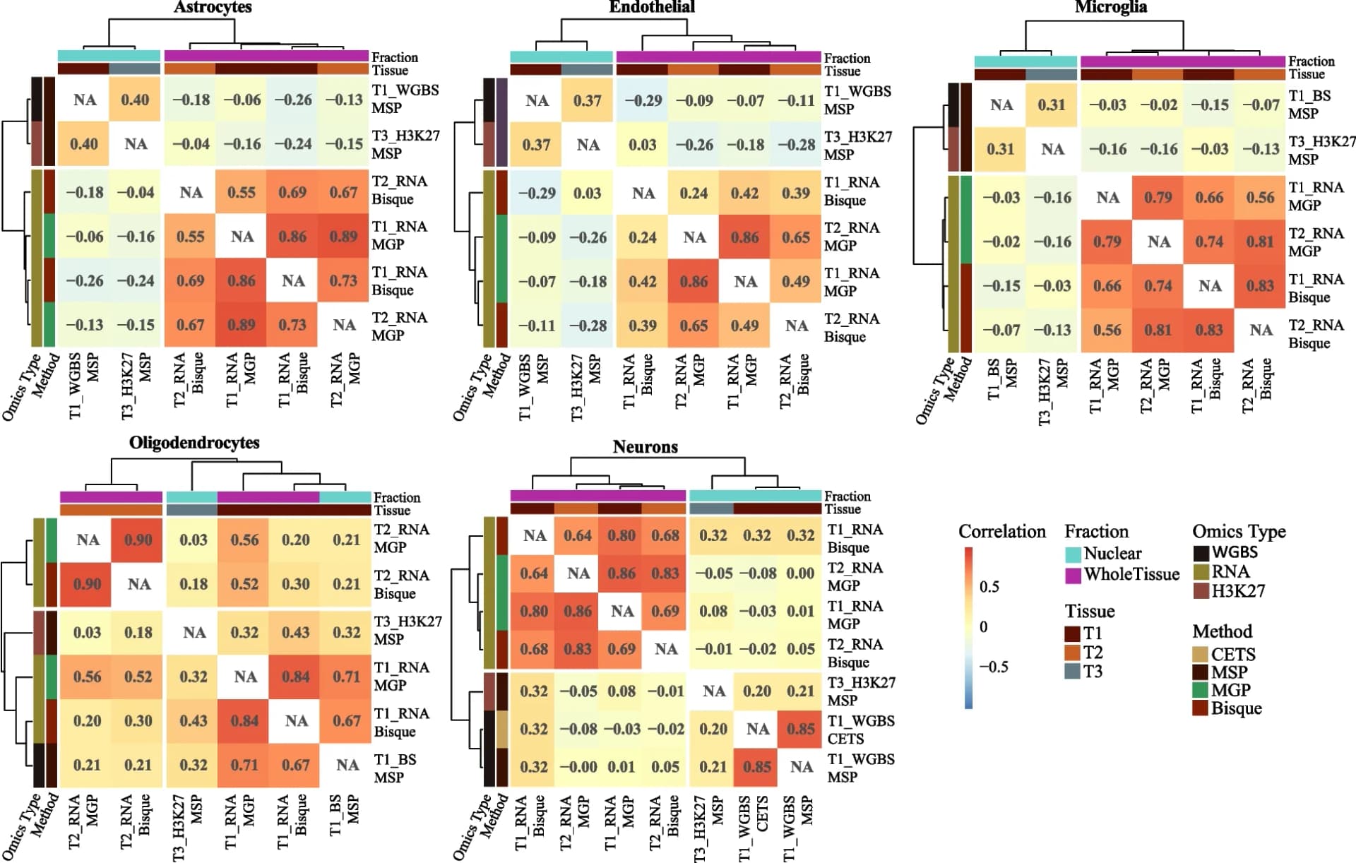 Open access visualization of Heatmap, Clustered, Estimation Methods, Data Types, Cell Type Estimates