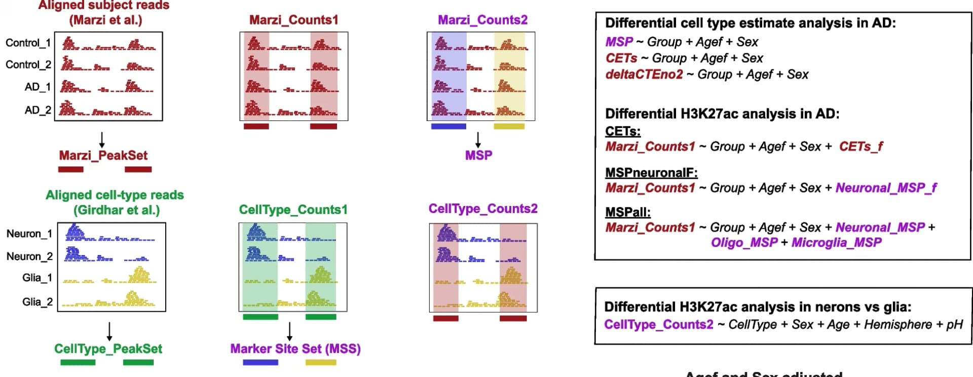 Open access visualization of Line Plot, Density Plot, ChIP-seq Datasets, Peak Sets, Count Matrices