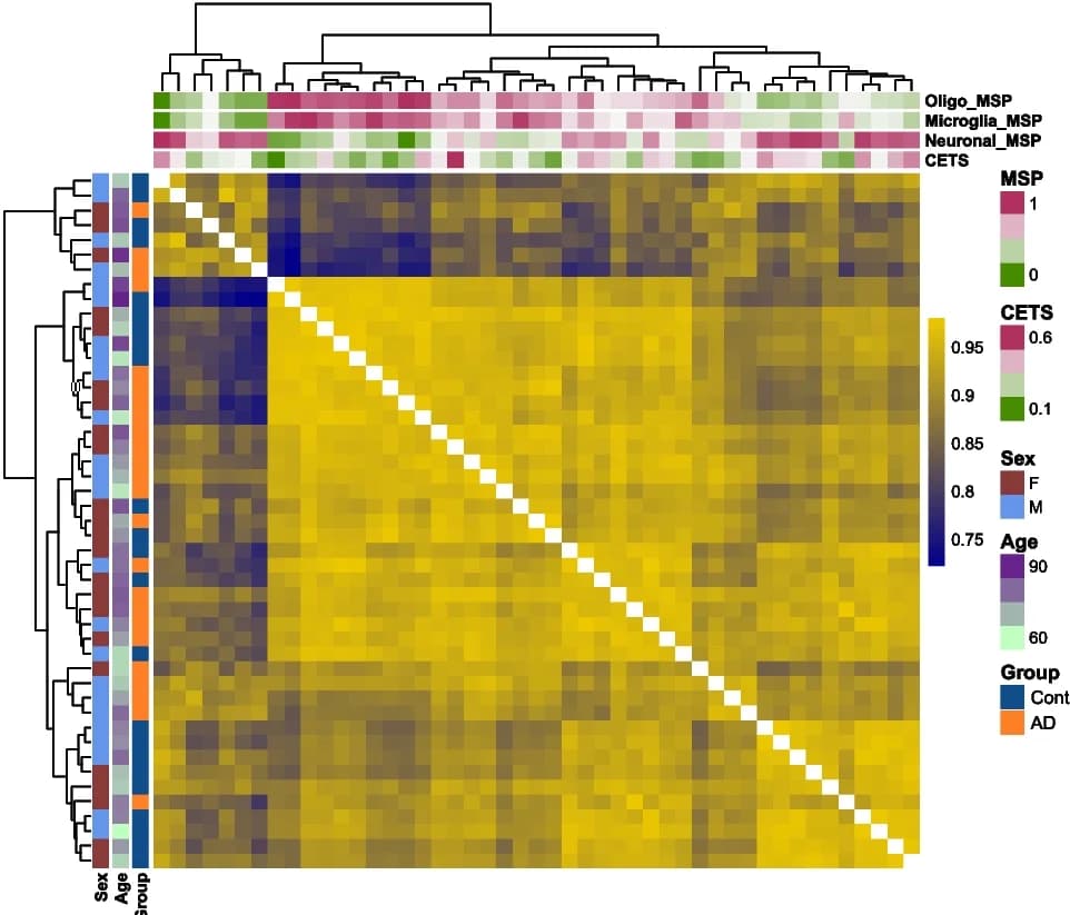 Open access visualization of Heatmap, Clustered, Hierarchical Clustering, Sample-Sample Correlation, Cellular Composition