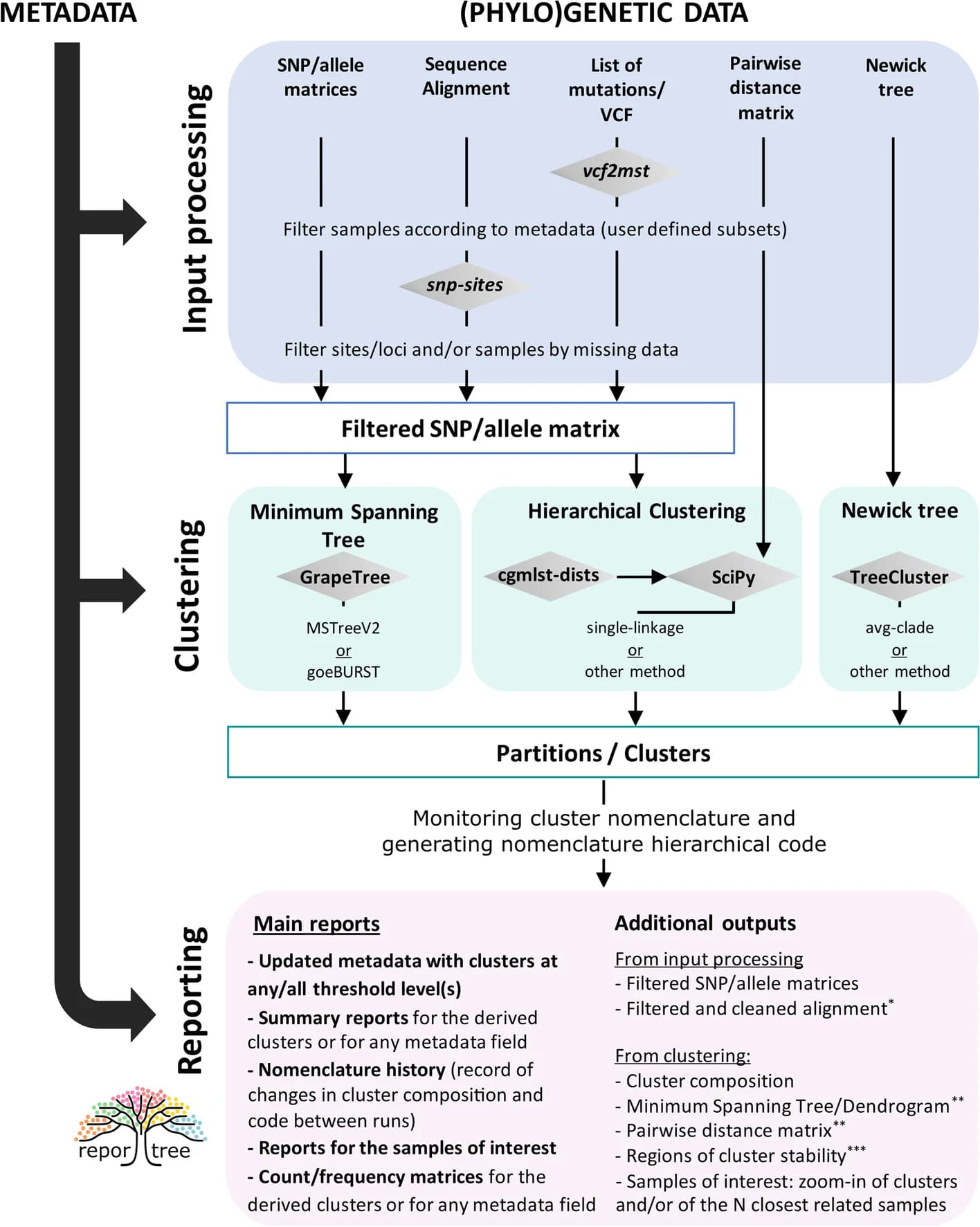 Open access visualization of Workflow, Flowchart, ReporTree pipeline, Input Types, Clustering Modules