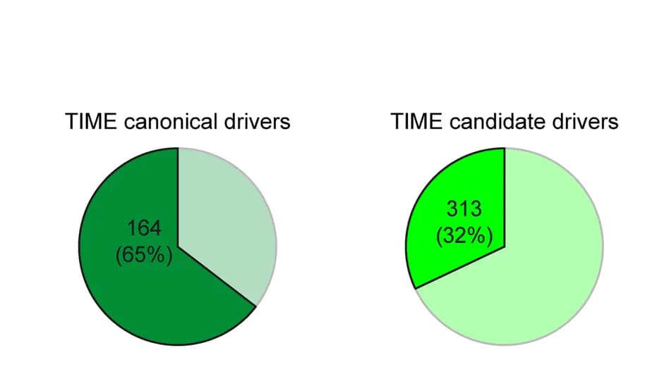 Open access visualization of Pie Chart, TIME Canonical Drivers, TIME Candidate Drivers, Drivers