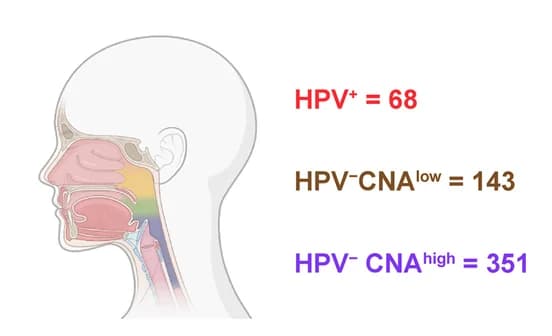 Open access visualization of Illustration, HNSC, TCGA, CPTAC, HPV