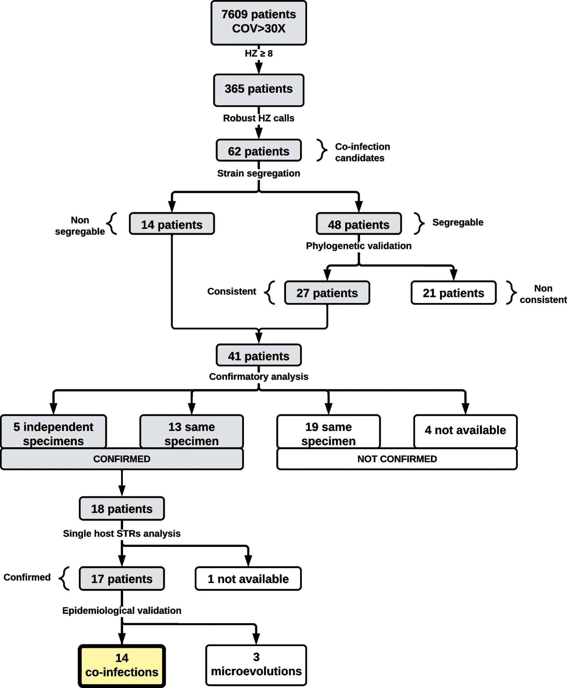 Open access visualization of Workflow, Flowchart, Co-infection, Heterozygous, Short Tandem Repeats