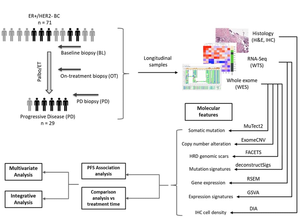 Open access visualization of Workflow, Heatmap, Microscopy, Study Design, Data Analysis