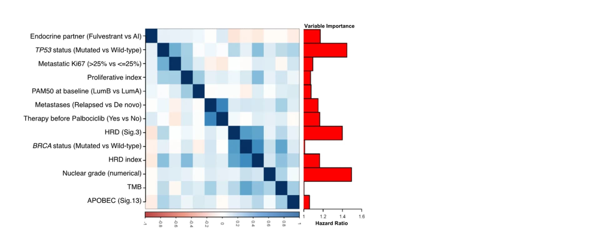 Open access visualization of Heatmap, Bar Plot, Correlogram, Clinical Features, Molecular Features