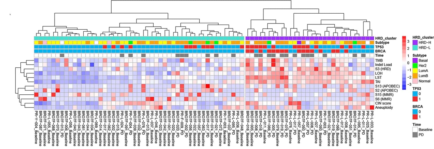 Open access visualization of Heatmap, Clustered, Genomic Features, HRD Cluster, Tumors