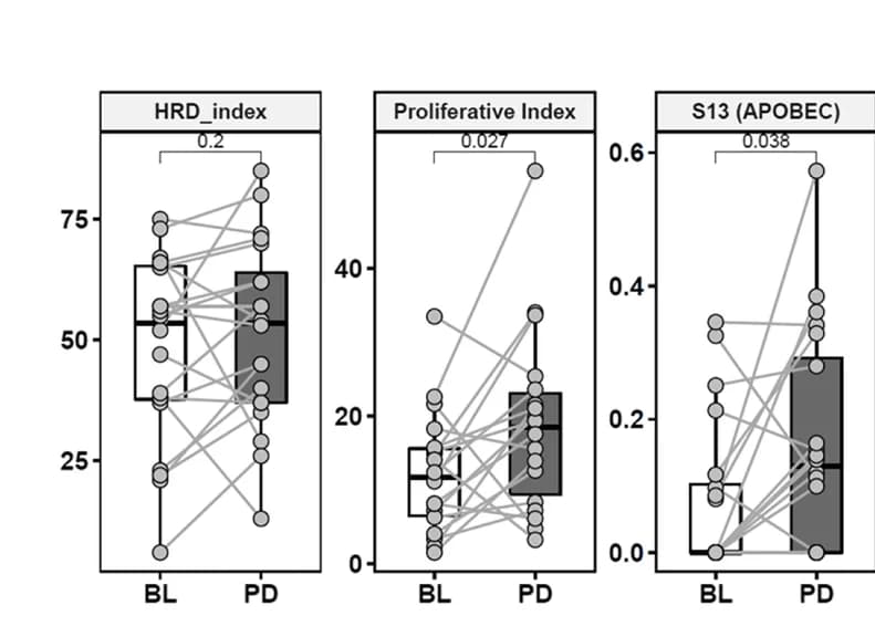 Open access visualization of Box Plot, Scatter Plot, Line Plot, HRD Index, Proliferative Index