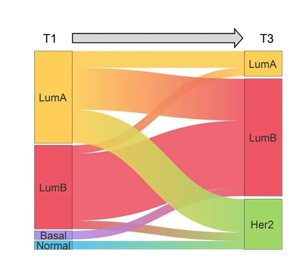 Open access visualization of Sankey, Sankey Diagram, Subtype Switching, Luminal A, BL