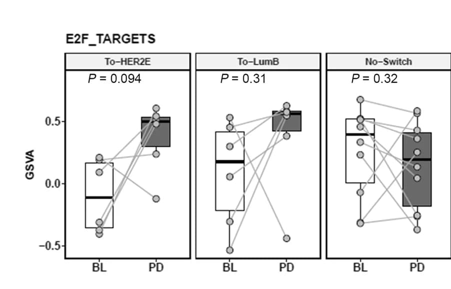 Open access visualization of Box Plot, Scatter Plot, Line Plot, E2F Targets Signature, BL