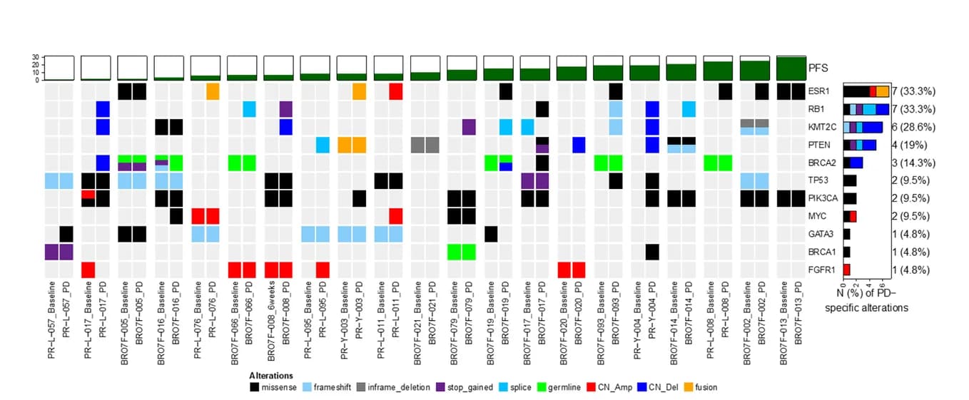 Open access visualization of Heatmap, Bar Plot, Oncoprint, Mutational Profile, PD-specific Alterations