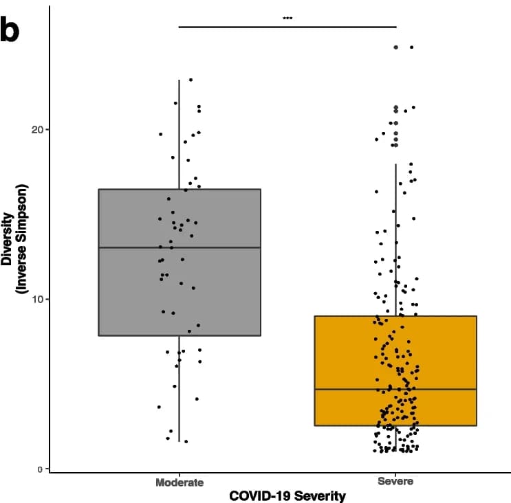 Open access visualization of Box Plot, Scatter Plot, COVID-19, Community Structure, BrayCurtis Distance
