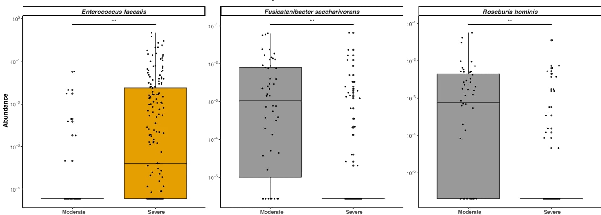 Open access visualization of Box Plot, Scatter Plot, Taxa Abundance, COVID-19 Severity