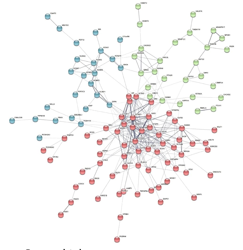 Open access visualization of Network, Pathway, Network Map, Downregulated Genes, Schizophrenia
