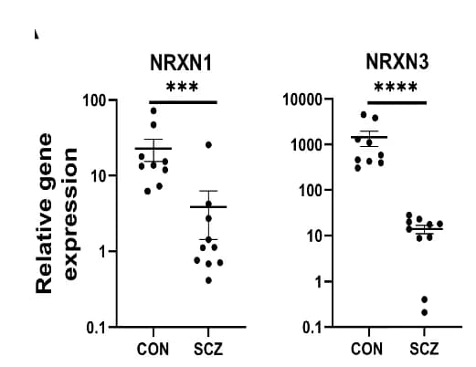 Open access visualization of Scatter Plot, Error Bars, SCZ Neurons, mRNA Expression, NRXN3