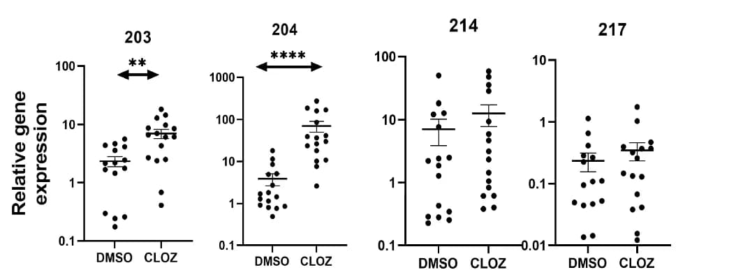 Open access visualization of Scatter Plot, Error Bars, SCZ Cortical Neurons, Clozapine, NRXN3 203