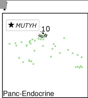 Open access visualization of Scatter Plot, Pancreatic Neuroendocrine Tumors, Germline MUTYH Mutations, SNV, Indel