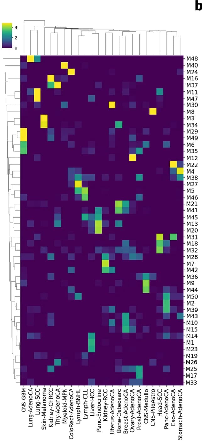 Open access visualization of Heatmap, Clustered, Tumor Type, PCAWG, Cancer Genomes