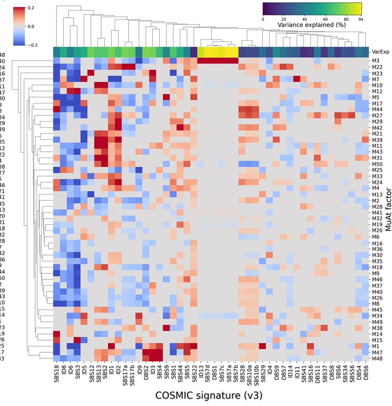 Open access visualization of Heatmap, Clustered, MuAt Factors, COSMIC SBS, Mutational Signatures