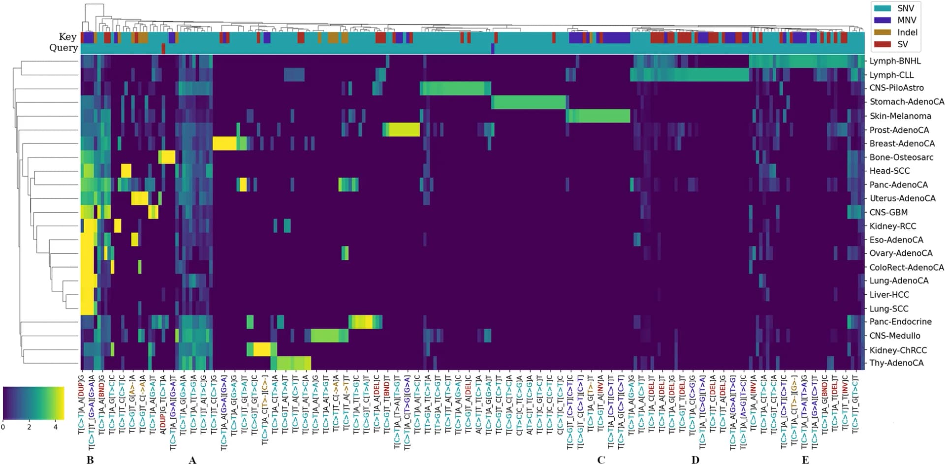 Open access visualization of Heatmap, Clustered, MuAt model, Mutation motifs, Tumor types