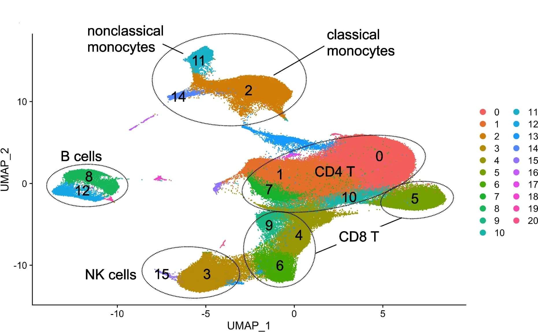 Open access visualization of Scatter Plot, UMAP, UMAP Plot, PBMCs, MAPT Variant Carriers